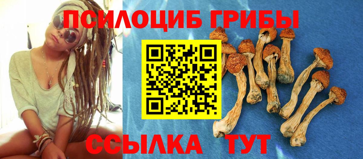 Псилоцибиновые грибы мухоморы Артёмовский